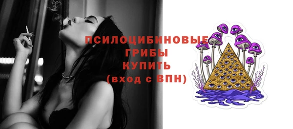 трава Абаза