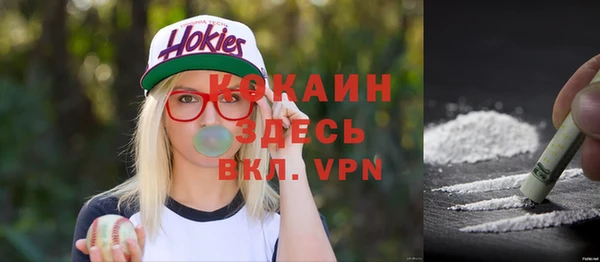 трава Абаза