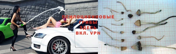 трава Абаза