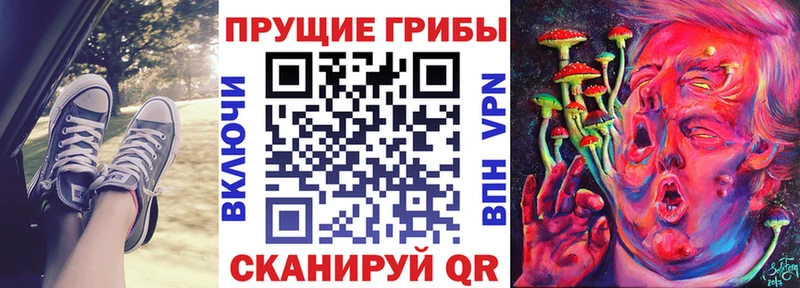 Галлюциногенные грибы мицелий  где купить наркоту  Новотитаровская 