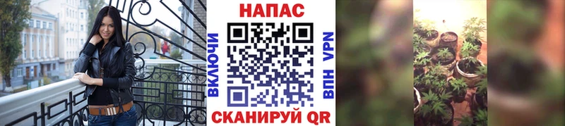 купить закладку  Новотитаровская  МАРИХУАНА Bruce Banner 